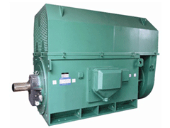 西山Y系列6KV高压电机